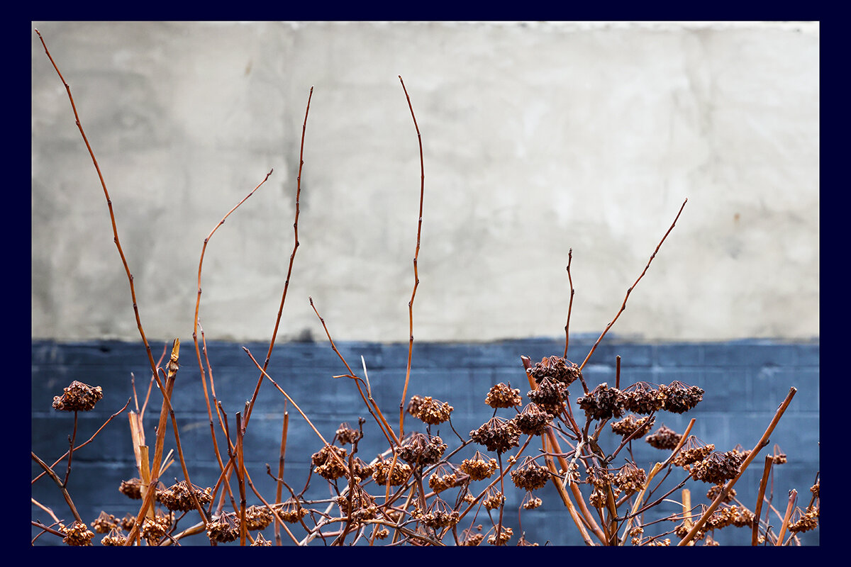 *-*-* - Сергей Премонишын