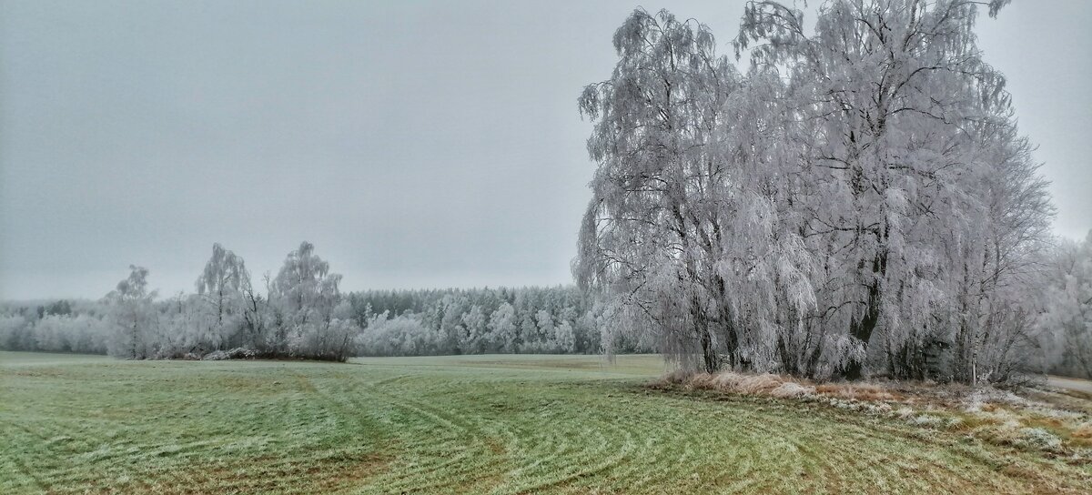Утро декабря. - adrow 