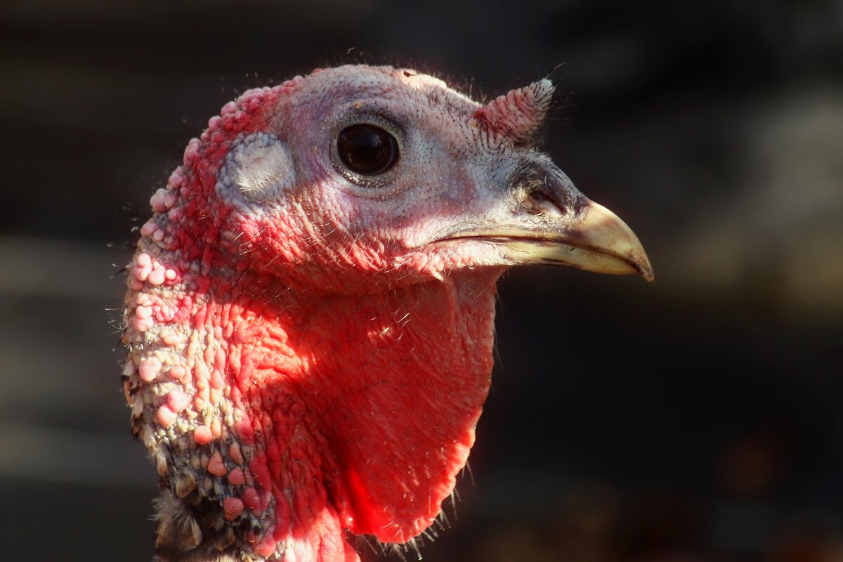 Вы что то хотели? - Юрий. Шмаков