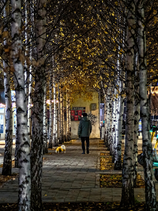 «В этой роще березовой…» - Сергей Шатохин 