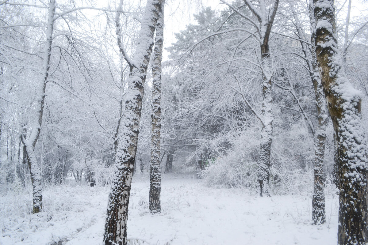 Ослепительная снежность - Nina Streapan