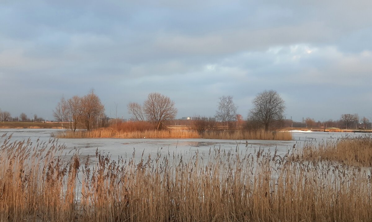 Весна 2025. Март - Наталья Герасимова