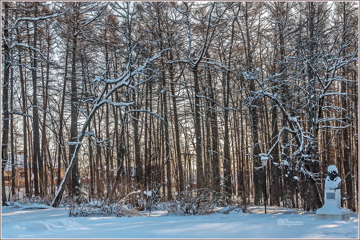 В зимнем парке... - Aquarius - Сергей В зимнем парке... - Aquarius - Сергей