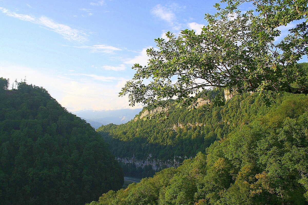 Ахшты́рское уще́лье - Tata Wolf