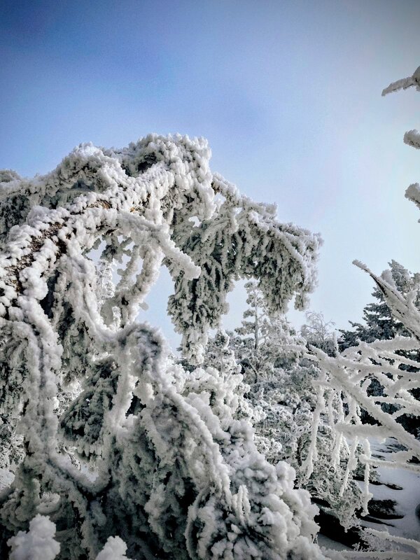 Зимняя сказка гор - Георгиевич 