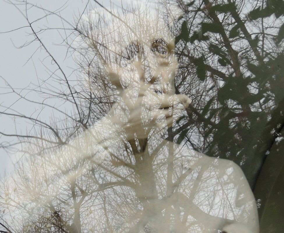 *** - Алла Булашевская