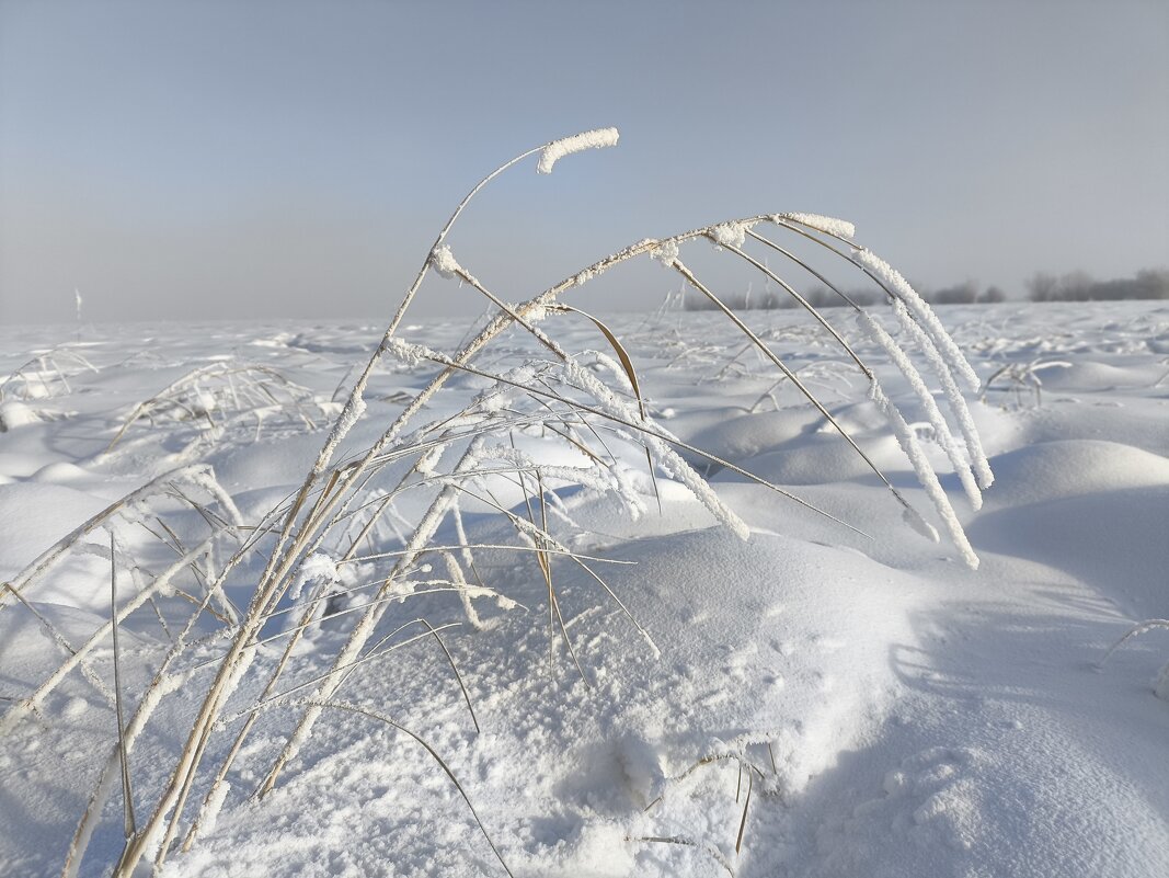 Зима - Anna Ivanova Зима - Anna Ivanova