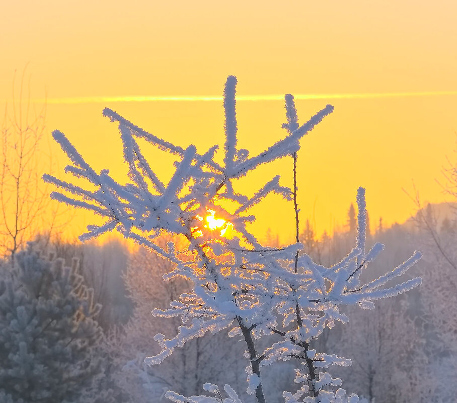 Иней. - Владимир Мигонькин