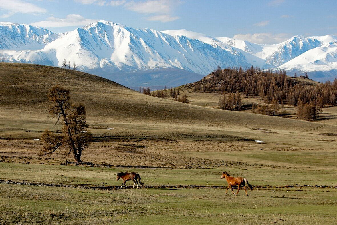 Просторы - елена беликова