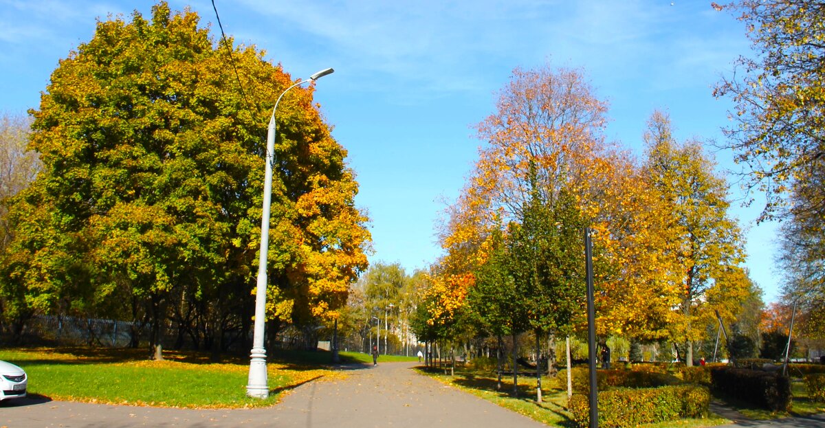 РАЗНОЦВЕТНАЯ ОСЕНЬ В ПАРКЕ - Валентина 