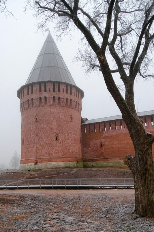 Туманное, декабрьское утро. - Милешкин Владимир Алексеевич 