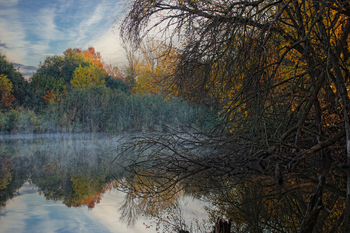 Утро. - Александр. AVG100 ---