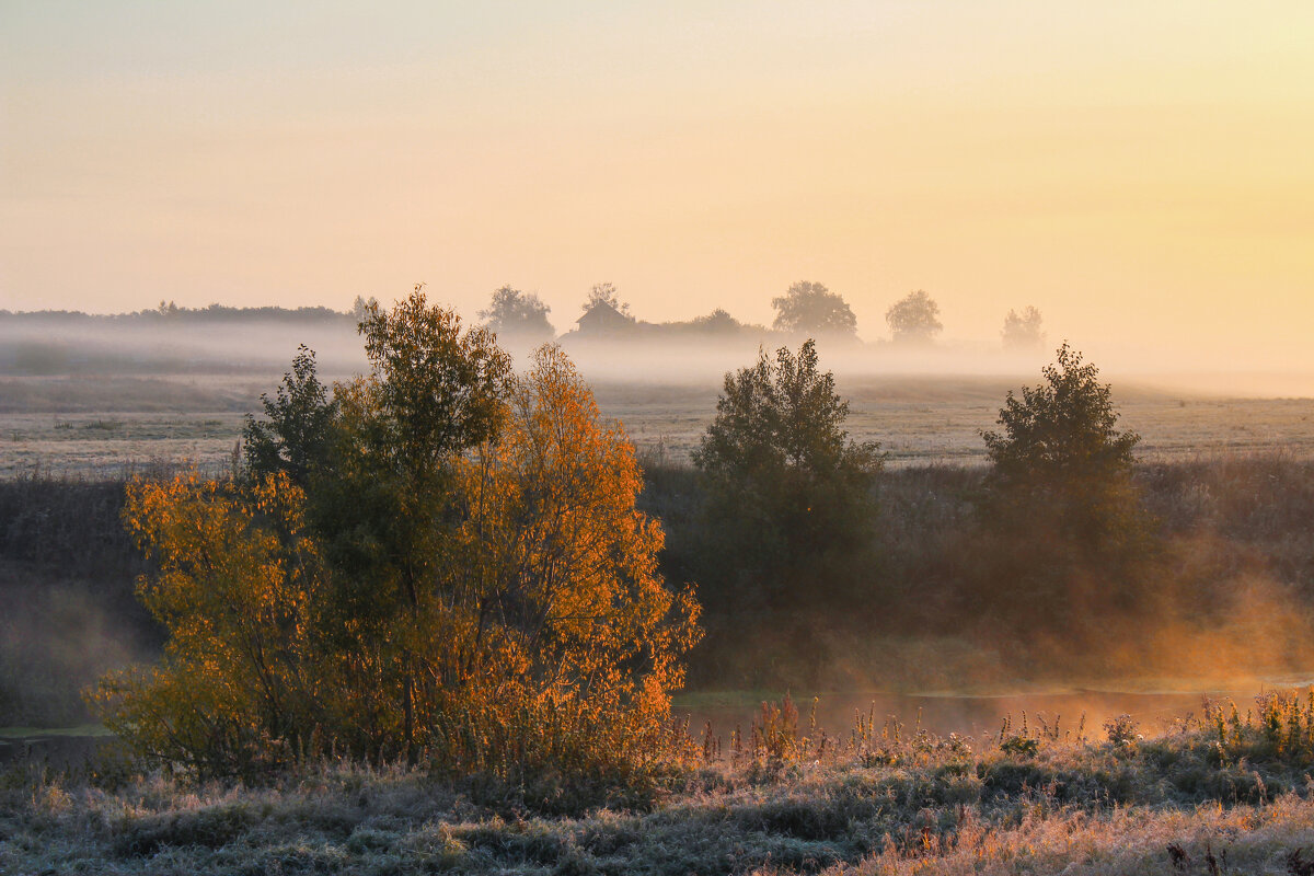 Утро. - Александр. AVG100 ---