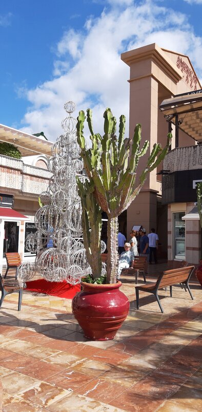 Кактусовая ёлка - Ольга 