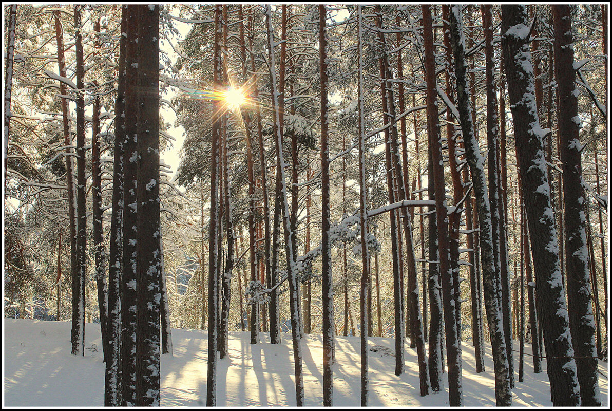Светит но не греет - Aleksandr Gal