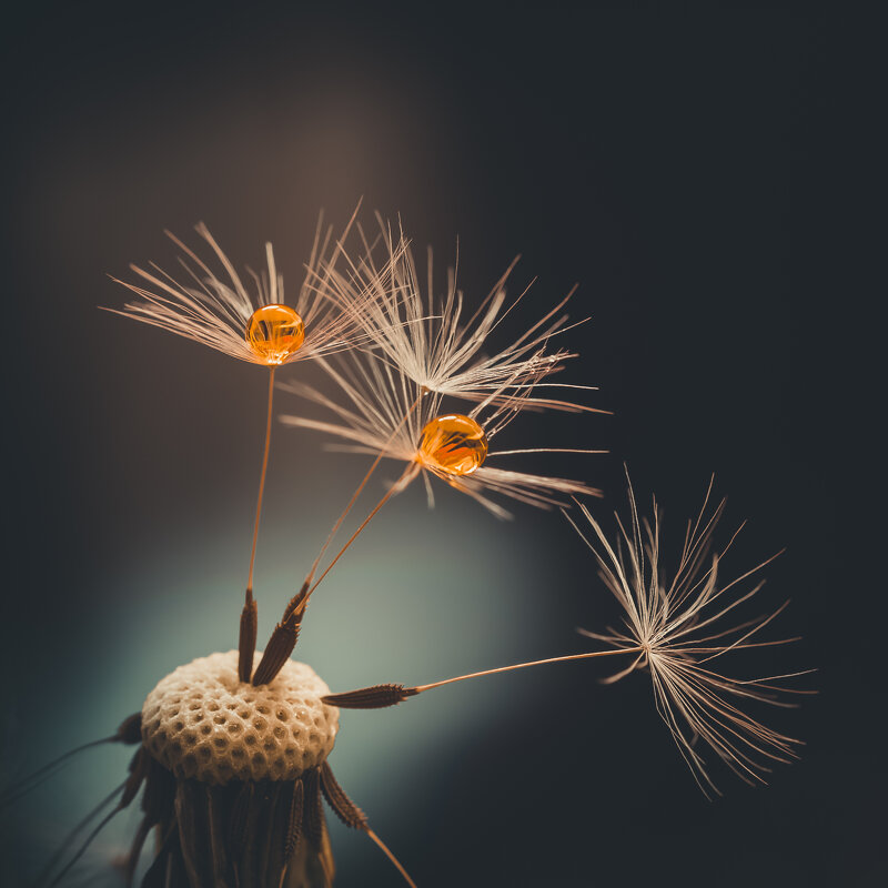 Просто так - Игорь Шевченко