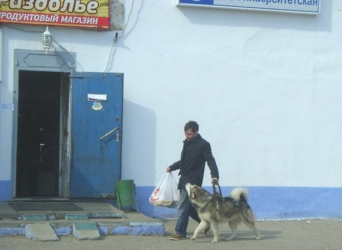 Хозяин,   давай   за   пельмешками    зайдём! - Галина Кузьмина