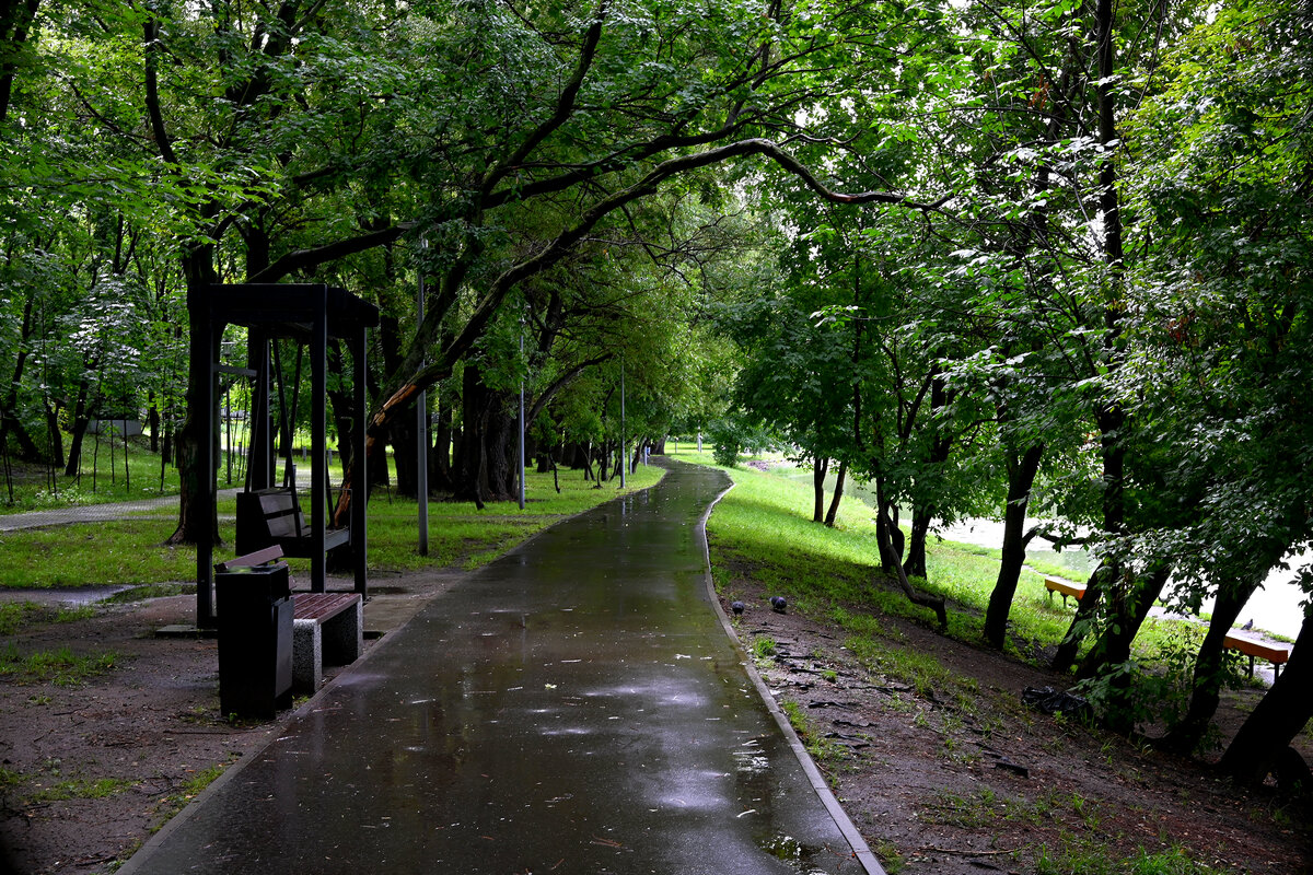 Городской парк - Игорь Белоногов