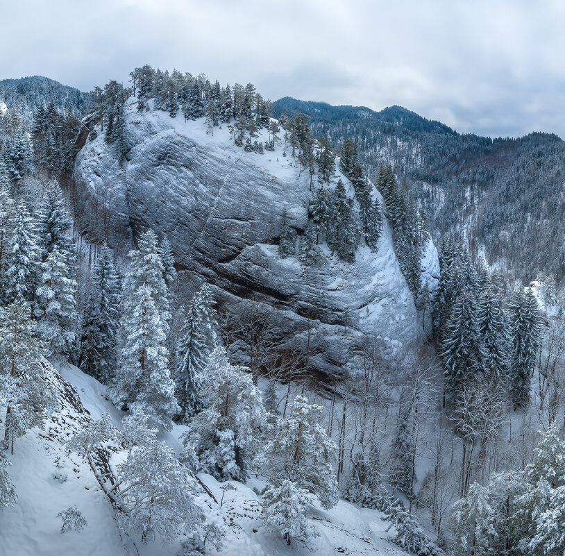 Скала - Фёдор. Лашков