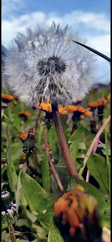 Лето - Марина 