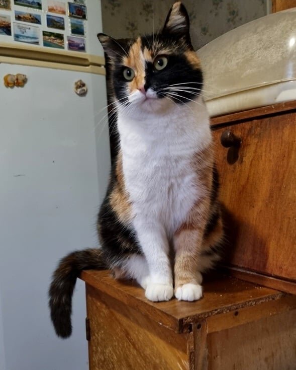 21 декабря - день зимнего солнцестояния - Наталья 