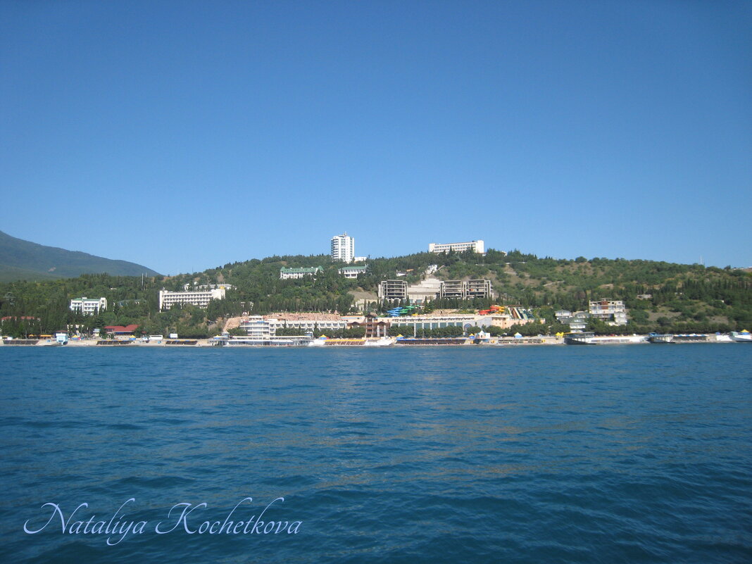 Природа Крыма - Amazing Cosmea