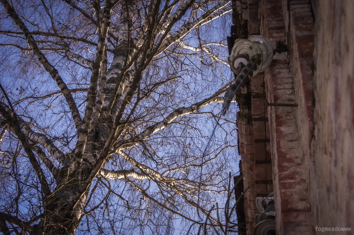 без названия - fogmeadowww m