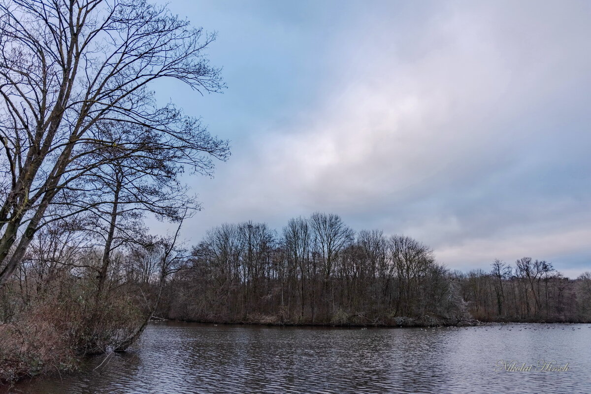 В середине зимы... - Николай Гирш