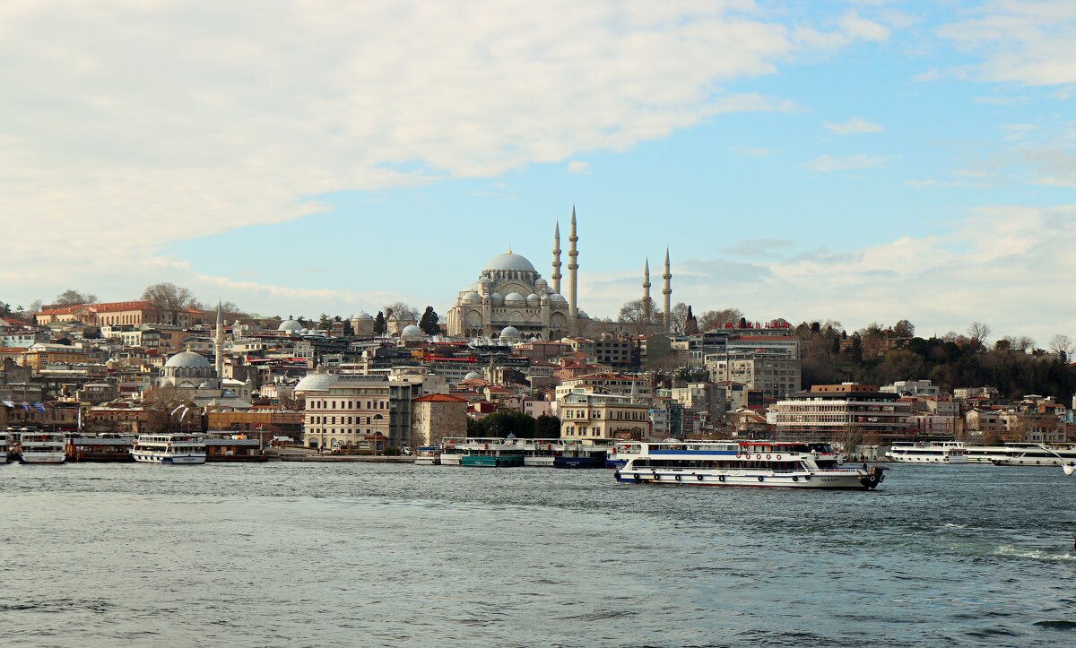 *** - веселов михаил 