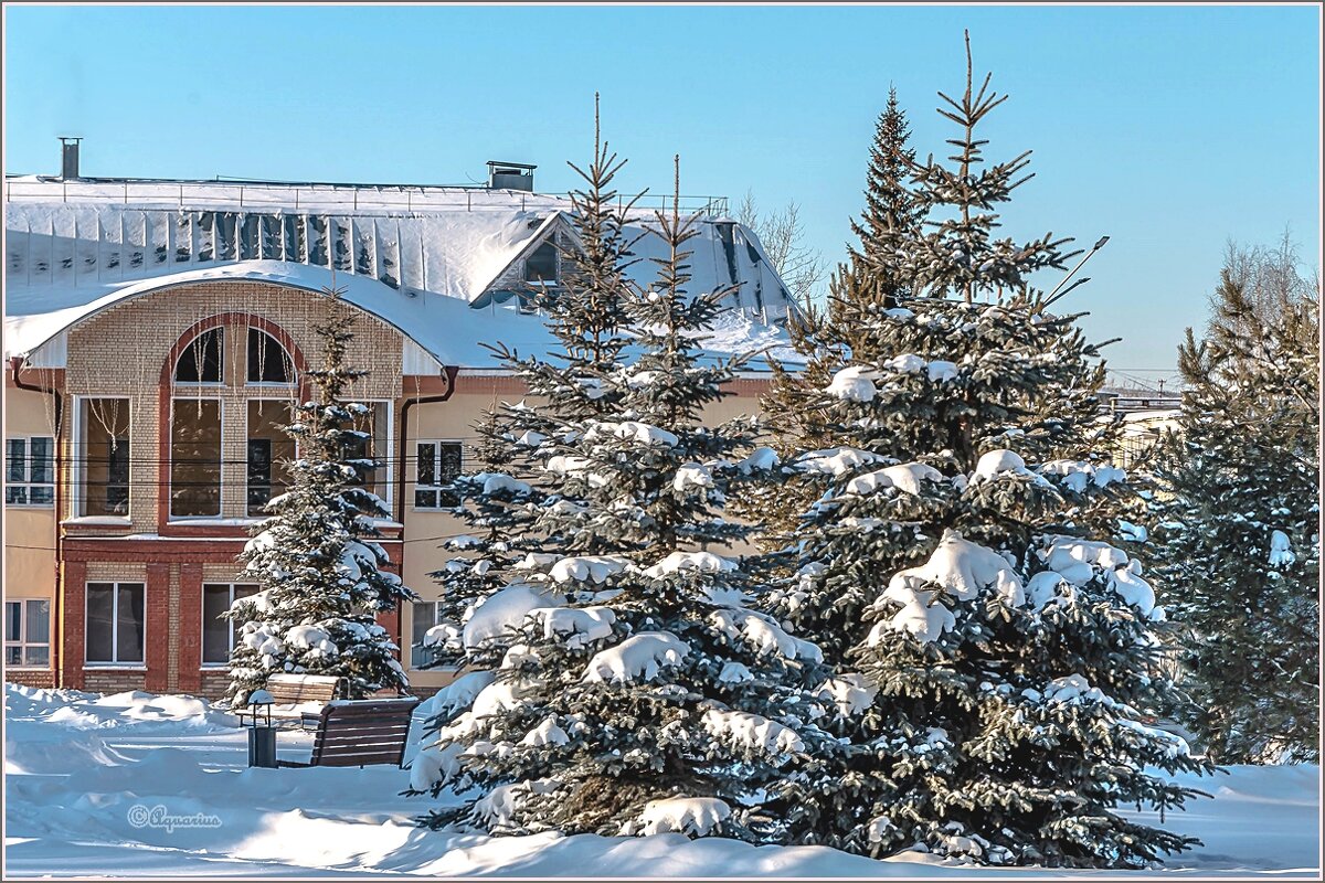 «Мороз и солнце; день чудесный!» - Aquarius - Сергей