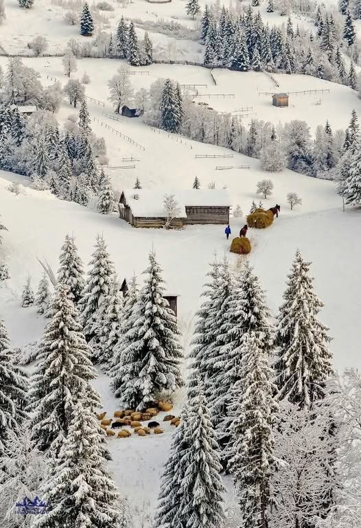 в Карпатах зима - Степан Карачко
