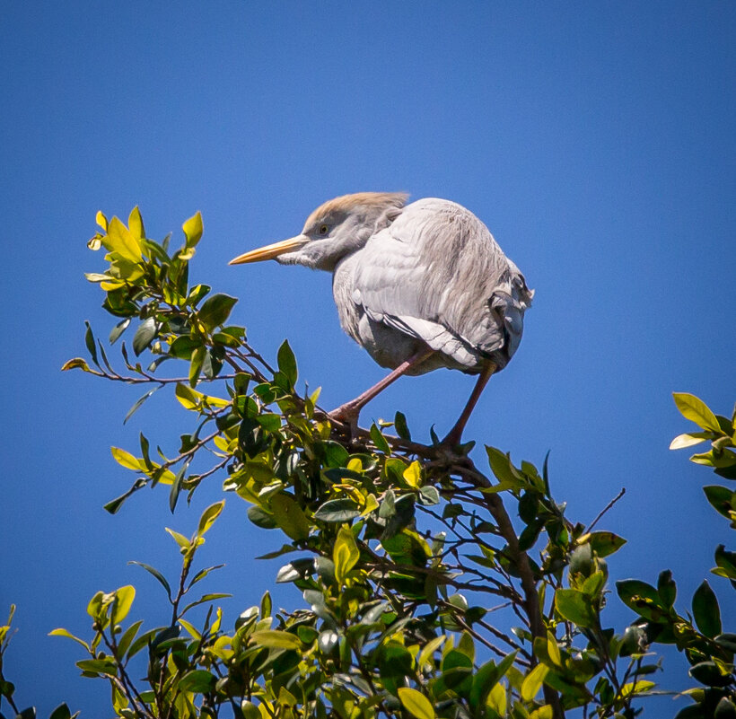 תל אביב - Андрей 