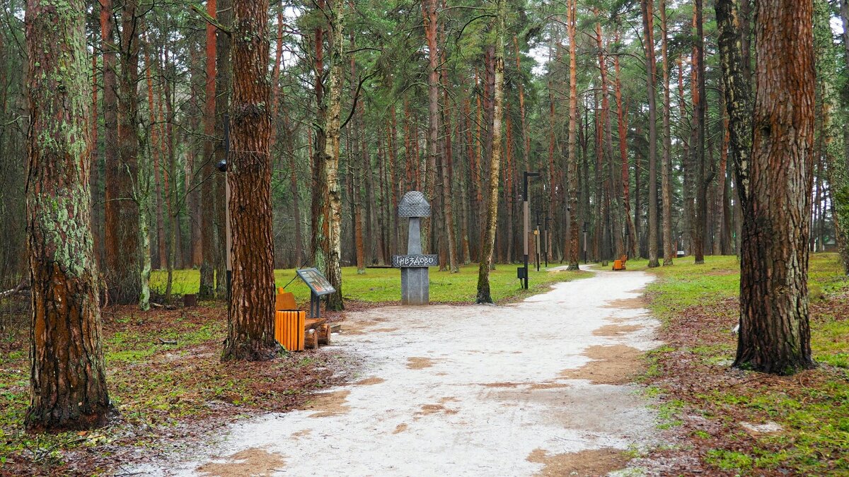 Природа Смоленщины за 10 дней до Нового года. - Милешкин Владимир Алексеевич 