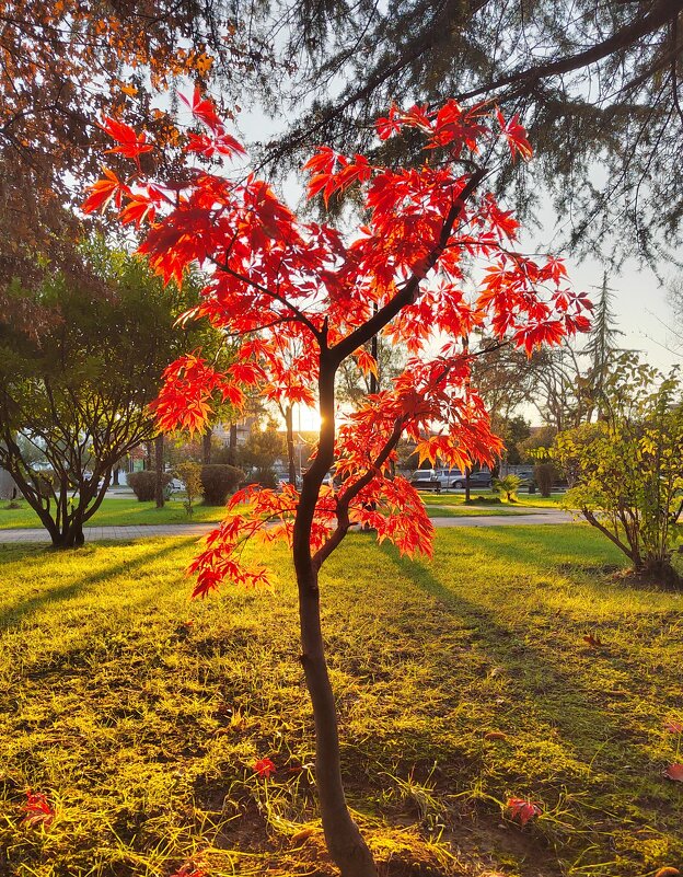 Сухум - солнечный город - Фотогруппа Весна Сухум - солнечный город - Фотогруппа Весна