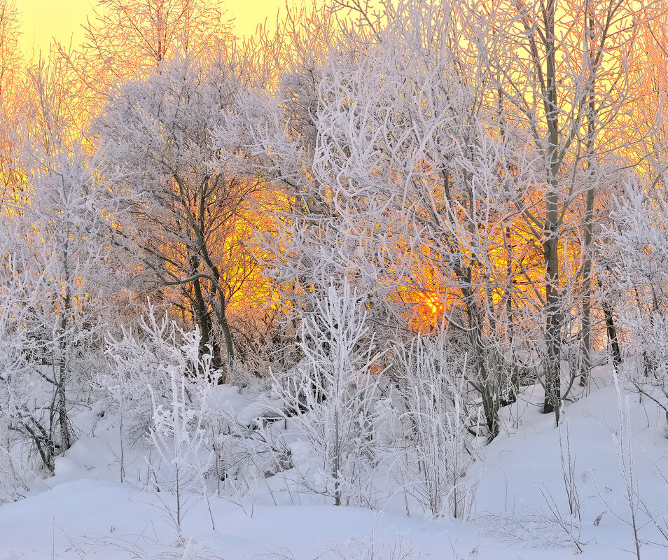 Иней. - Владимир Мигонькин