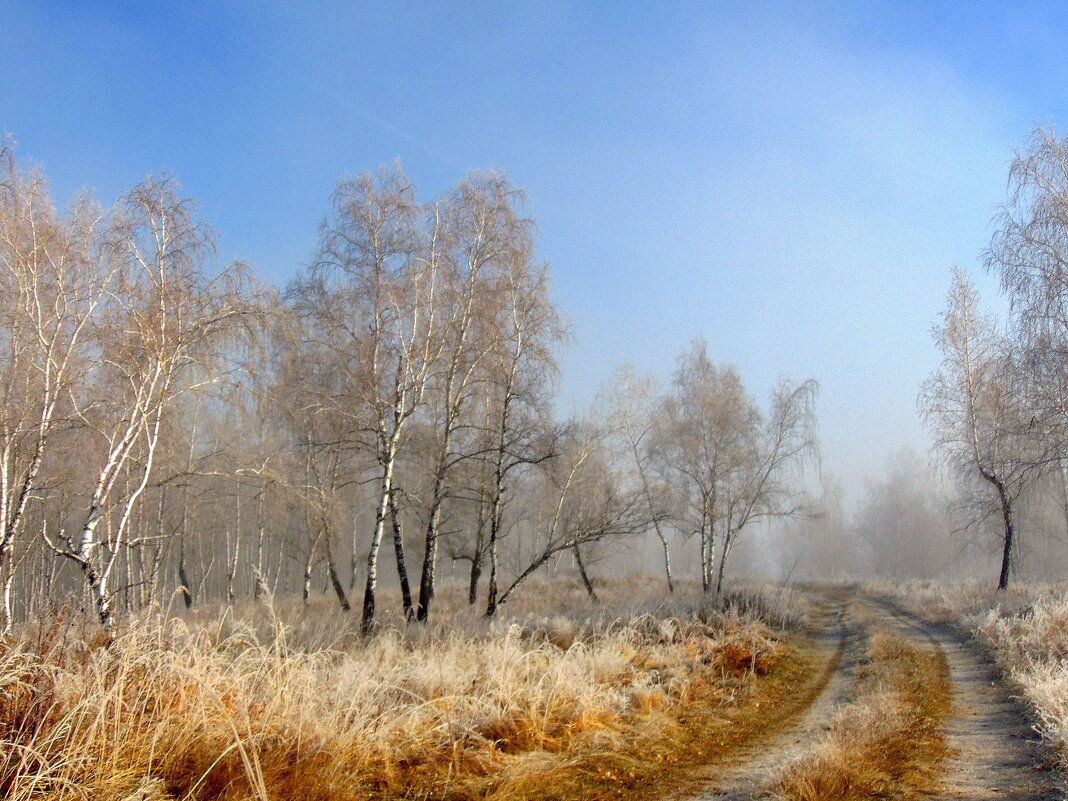 Первые заморозки. - nadyasilyuk Вознюк