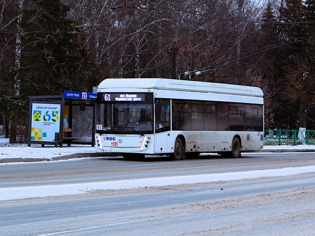 Новочебоксарск. Троллейбус УТТЗ – 6241.01 «Горожанин» на улице Винокурова. - Пётр Чернега