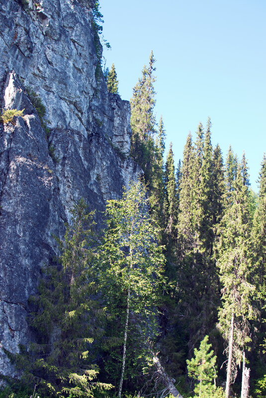 Обрыв. - ВикТор Быстров