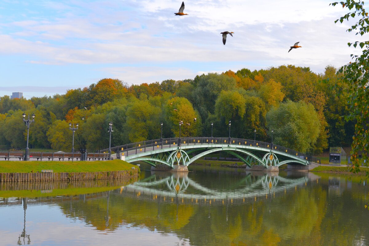 Осень в музее-усадьбе Царицыно. - Константин Анисимов
