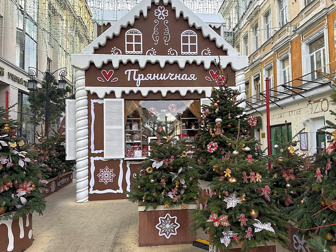 Новогодняя Москва - Ольга Довженко