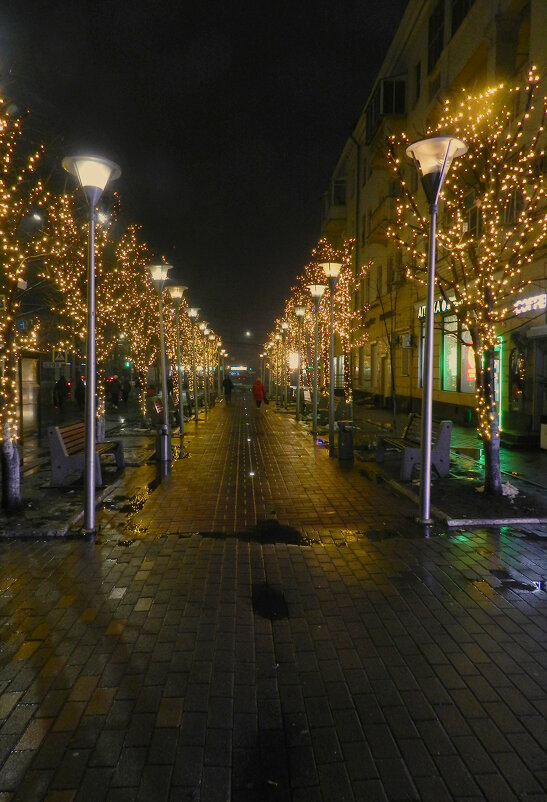 новогодние гирлянды - Лера 