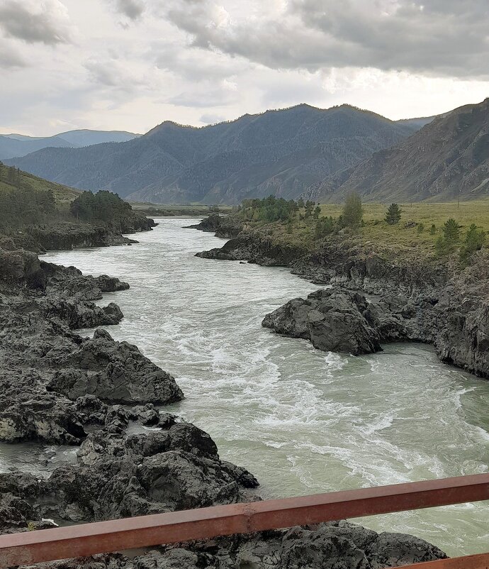 Катунь на Ороктое . Алтай -август 2025 год . - Мила Бовкун