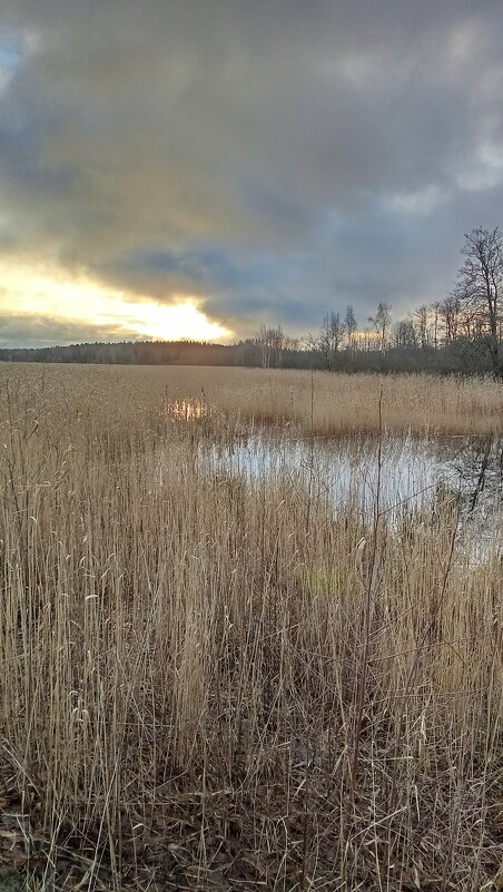 *** - Ольга Попова (popova/j2011) *** - Ольга Попова (popova/j2011)