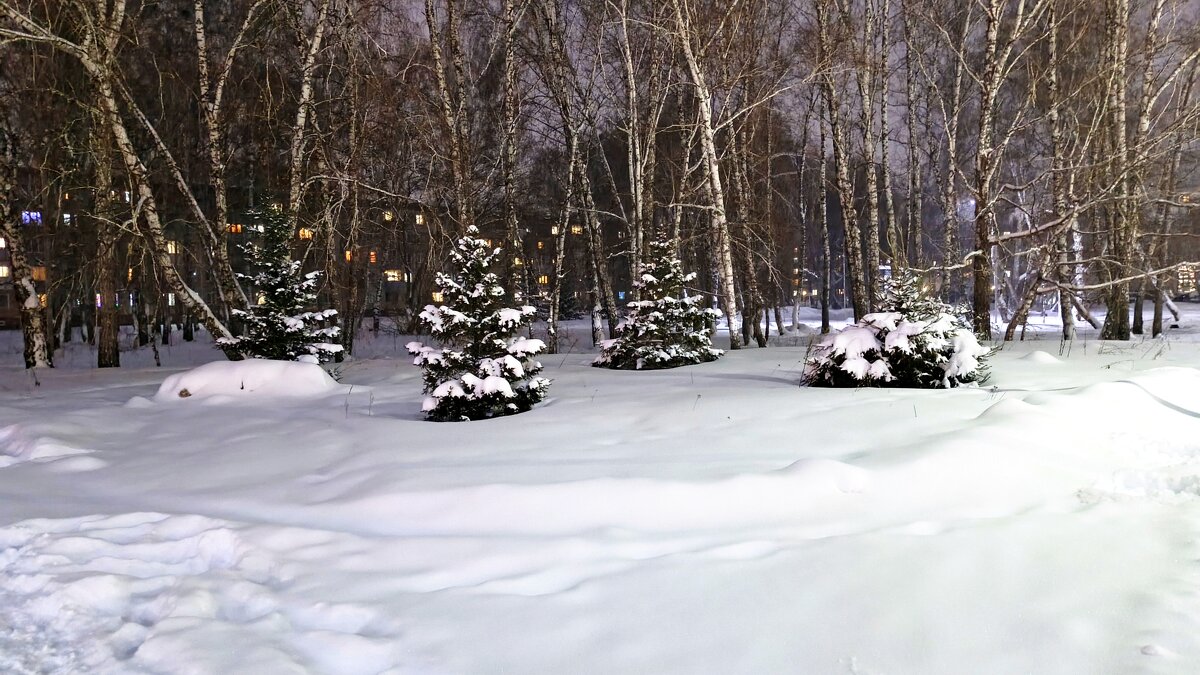 У нас зима в Сибири . Предновогоднее . - Мила Бовкун