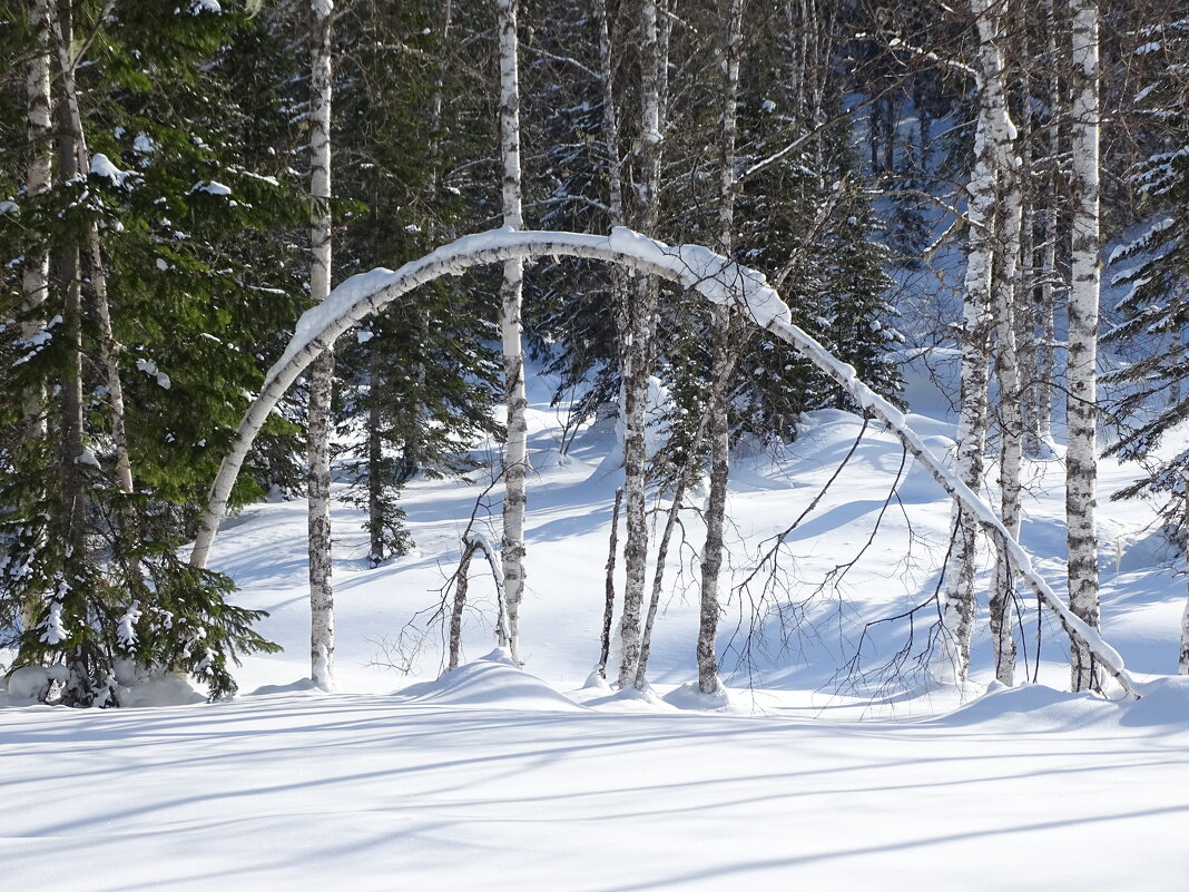 Поклон - Павел Трунцев