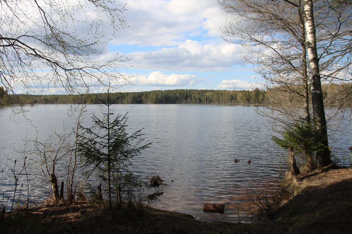 Весна 2025. Май - Наталья Герасимова