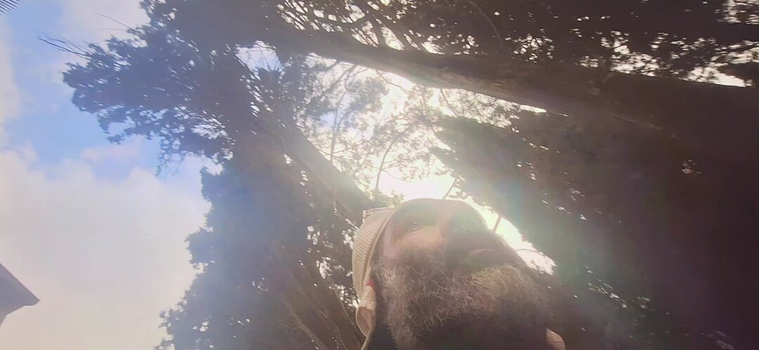 13  ОПЕН (772) - OPEN WAYS ALL