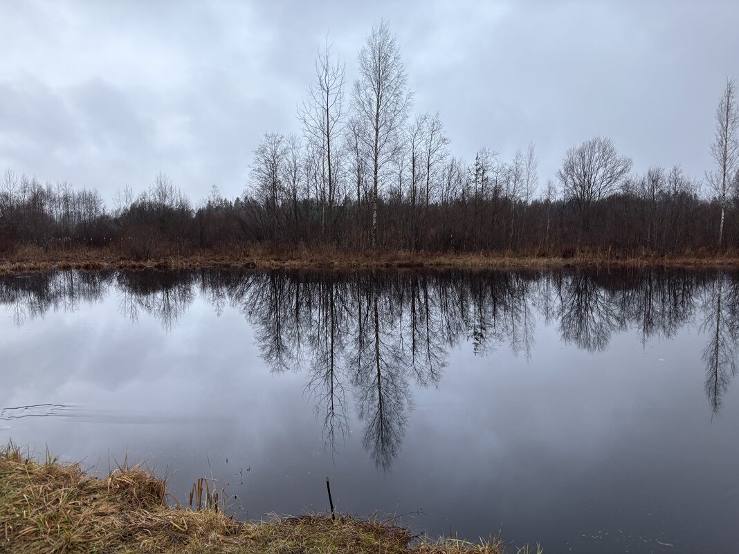 До сих пор осень… - Ольга Савельева 
