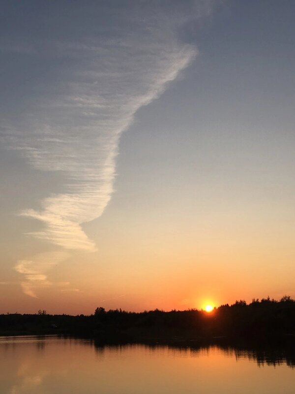 Облачная птица - Ольга Савельева 