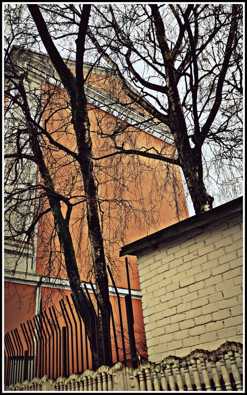 деревья в городе - Любовь 